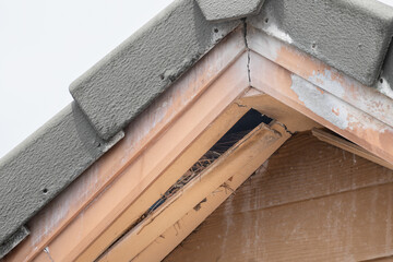 Birds nesting under old roof that loose or broken externalceiling.