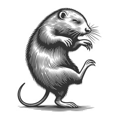 Fototapeta premium Dancing Otter sketch engraving generative ai fictional character raster illustration. Scratch board imitation. Black and white image.