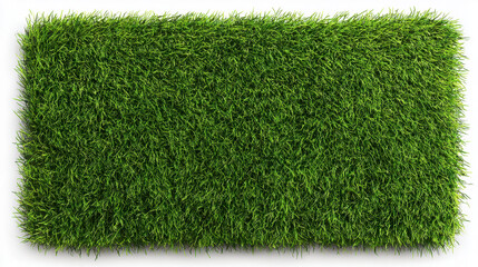 artificial grass isolated on white background. Artificial turf tile background. Grass mat. 3d illustration.
