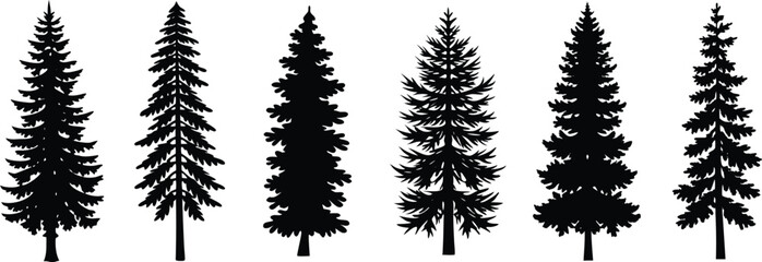 Silhouette Variety A Group of Isolated Evergreen Trees Illustration Black and White