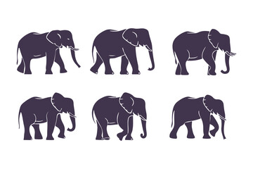Obraz premium Set of Elephant Silhouettes Vector Illustration. Collection of Walking Safari Animals. Wildlife Mammal Icons Isolated on White Background.