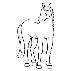 正面から見た馬の線画ベクターイラスト