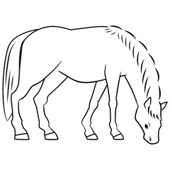 草を食べる馬の線画ベクターイラスト