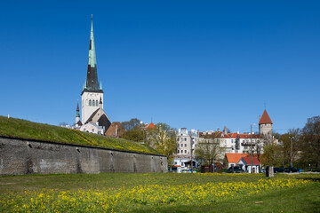 Tallinn Skyline With Bastion And Church Tower