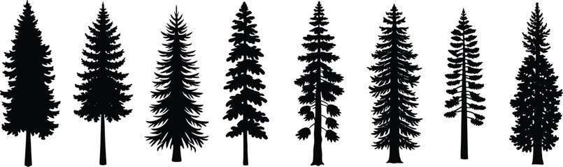 Obraz premium Silhouette Array of Evergreen Trees Showing Different Shapes and Foliage Density