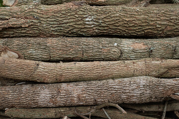 Close-up of a pile of firewood and dried wood pieces
