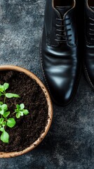 Black leather shoes next to a pot of soil with green sprouts. Top view