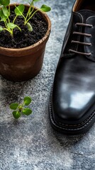 Black leather shoes next to a pot of soil with green sprouts. Top view. 
