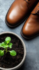 Brown leather shoes next to a pot of soil with green sprouts. Top view