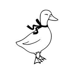 charming hand-drawn duck illustration