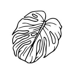 tropical philodendron leaf outline art