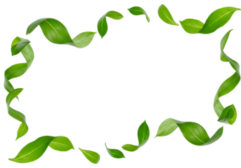 Green Leaves Frame Illustration on Transparent Background Element Design