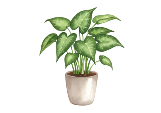 Green Houseplant Illustration on Transparent Background Indoor Natural Leaf