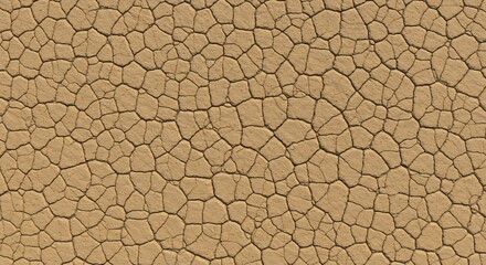Closeup view of dry cracked earth showing a dense network of polygonal patterns