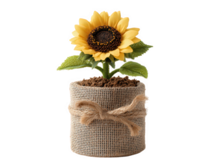 Sunflower rustic pot burlap bow soil green leaf yellow petal cheerful decorative isolated nature create charming and uplifting decor accent for home or office with touch of countryside style