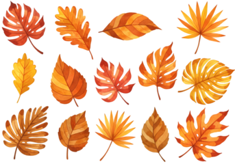 Illustration Autumn Foliage Watercolor Leaves Transparent Background