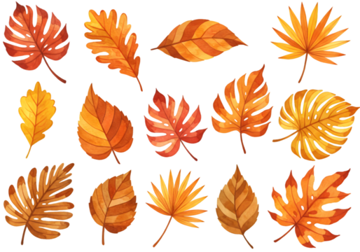 Illustration Autumn Foliage Watercolor Leaves Transparent Background