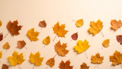 Fototapeta premium Autumn Leaves on Beige Background