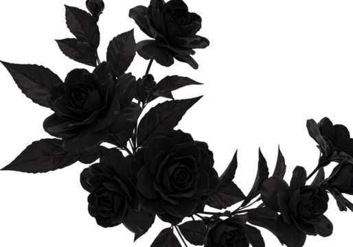 Illustration Black Rose Flowers on Transparent Background Floral Bloom