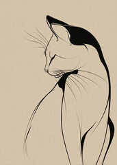 black and white cat