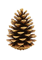 Isolated Golden Pine Cone Christmas Decoration on Transparent Background