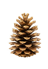 Isolated Golden Pine Cone Christmas Ornament Decoration On Transparent Background
