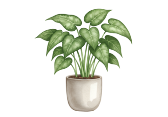 Illustration Green Plant in Pot with Transparent Background Isolated