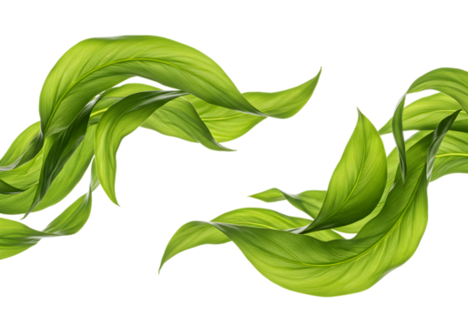 Illustration Green Leaves Transparent Background Fresh Flora Botanical