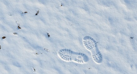 Two detailed boot prints in crisp white snow showing tread patterns and scattered dark leaves