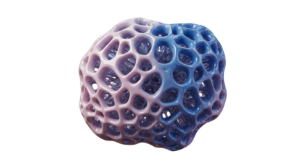 Abstract Coral Shape Cell Structure Mesh Foam 3D Render on PNG