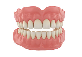 Obraz premium 3D Rendering Complete Set of Dentures Isolated on Transparent Background