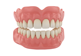 3D Rendering Complete Set of Dentures Isolated on Transparent Background
