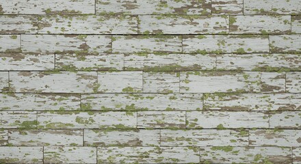 Weathered white wood planks with peeling paint and green moss growth