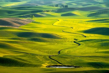 Drone photo of rolling hills farm fields green and yellow and a river. Palouse. Colfax. WA. USA