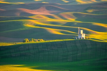 Wheat fields on rolling hills at sunset. Spring time in Washington State. Palouse. Pullman. WA. USA