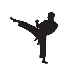 karate  kick silhouette vector