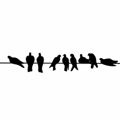 A flock of pigeons perched on a power line. Vector silhouette.