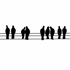 Silhouette of a flock of pigeons perched on an electric pole. A flock of birds perched on a cable.