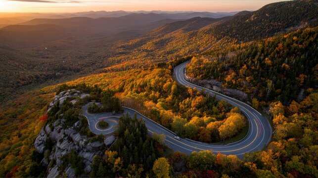 Aerial view of a city park with vibrant autumn trees and symmetrical