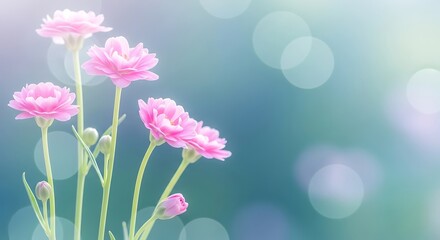Naklejka premium Pink Flowers Blooming on Light Bokeh Background