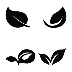 Modern Botanical Icons Pack, Organic Leaves and Plants Design