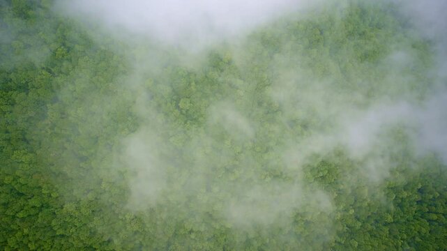 Fog dances through the valleys in this drone shot of the Smokies.