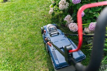 Gardener starts the lawnmower before cutting grass growing wildly in their backyard. Motorized...