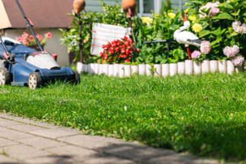 Mowing or cutting the very long grass with a green lawn mower in the summer sun