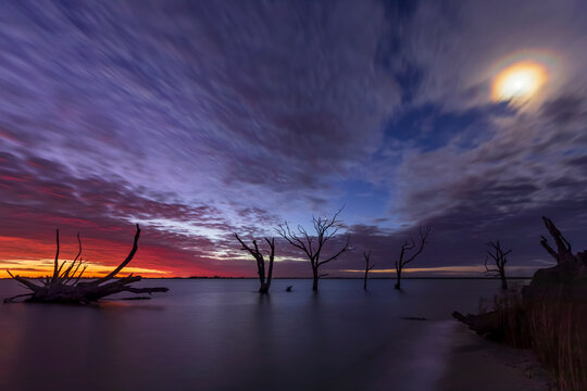 Australia, South Australia, Full moon glowing through clouds over silhouettes of dead trees standing in Lake Bonney Riverland