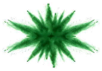 Abstract Green Starburst Shape on Transparent Background Geometric Design