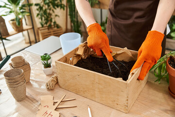 Handsome young man engaged in transplanting plants indoors in a bright studio filled with greenery