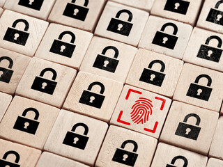 Fingerprint replacing password for biometric authentication and personal data access