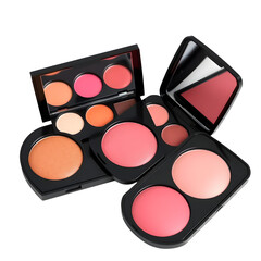 blush on palette. make up palette. isolated on transparent png