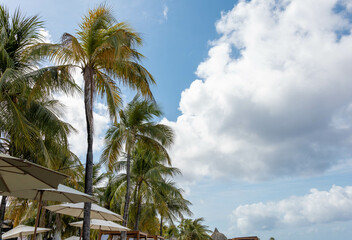Clouds, palm trees and parasols on the beach of Mambo Beach, Curaçao.